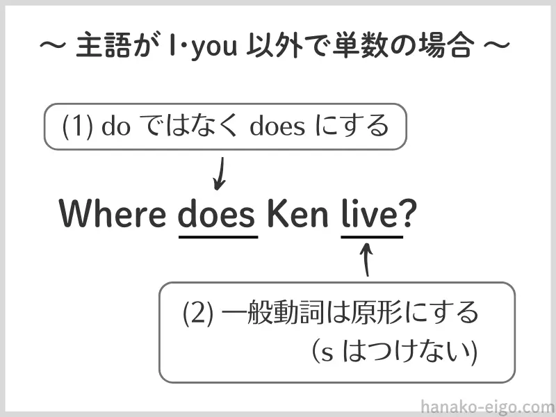 疑問文のルール（主語がI・you以外で単数の場合）