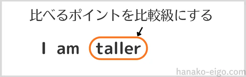 「比べるポイント」のtallを比較級tallerにする