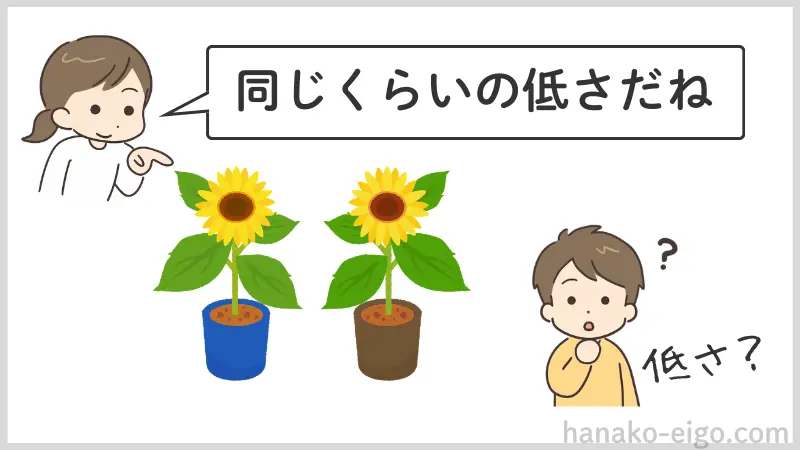 2本のヒマワリの背比べ。「同じくらいの低さだ」という女性に対し、困惑した表情を見せる男性。