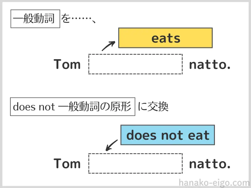 一般動詞の否定文の作り方。肯定文の「eats」を、「does not eat」にまるっと交換するイメージの図解。